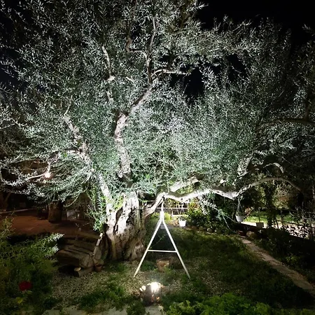Dimora Della Pizzuta